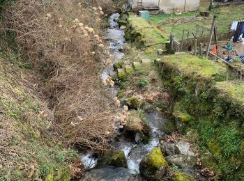 Excursión Senderismo Brassac - L’escalier de la Peyre par les Costes - Photo