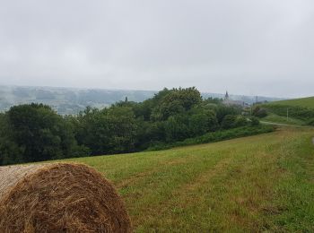 Tocht Fietstoerisme Bettes - Bettes - St-Pé-de-Bigorre - Photo