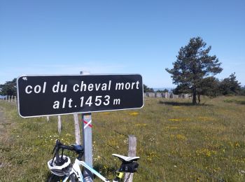 Tour Rennrad Châteauneuf-de-Randon - col du cheval mort - Photo