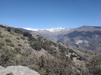 Tour Wandern Soportújar - Temple bouddhiste O Celin 3 - Photo