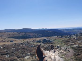 Excursión Paseo ecuestre Mont Lozère et Goulet - 2022-09-20 Rando CVA Lozere Refuge Mont Lozere vers Mas de la Barque - Photo