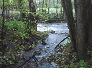 Randonnée A pied Eichenbühl - Rundwanderweg Eichenbühl Kohlgrund 2: Kohlgrund-Weg - Photo