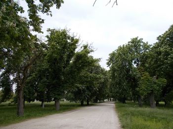 Tour Zu Fuß Kesthell - Z Fenékpuszta v.á. - Keszthely - Várvölgy - Photo