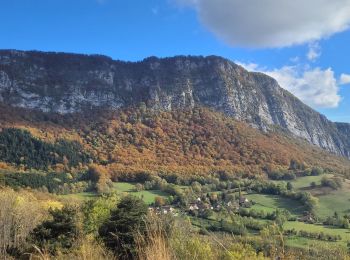 Tocht Stappen Mont-Saint-Martin - 111123 - Photo