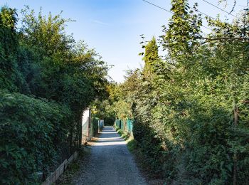 Percorso A piedi Boskovice - Doubravský okruh - Photo