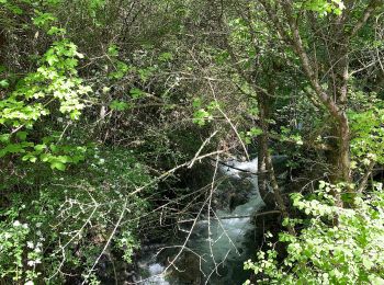 Randonnée A pied Savines-le-Lac - Walk from Savines through exercise park - Photo