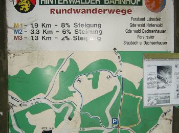 Tour Zu Fuß Lahnstein - Rundwanderweg Braubach: B3 Kleinbahndamm-Hinterwald-Molkenborn - Photo