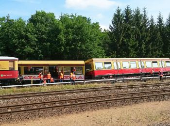 Tocht Te voet Hoppegarten - Erpetal Wanderweg - Photo