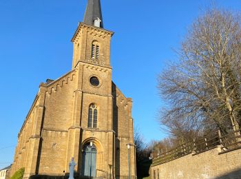 Randonnée Marche Aubange - Les étangs de Battincourt depuis Rachecourt  - Photo