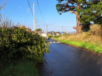 Trail Walking Paimpol - SB tempete - Photo