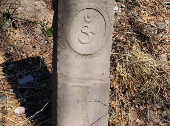 Percorso Marcia Le Saulcy - 2019-02-16 Marche Sentier Passeurs Quieux - Photo