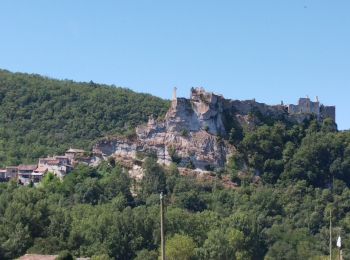 Trail Mountain bike Saint-Antonin-Noble-Val - st Antonin Noble Val à Penne forteresse  - Photo