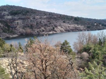 Randonnée Marche Mane - mane . Le lac de la laye  . - Photo