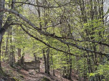 Trail Walking Arrien-en-Bethmale - Les granges de la Serre depuis Tournac-Bouche. - Photo