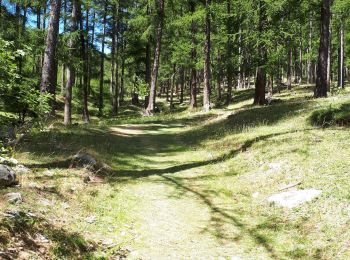 Excursión Senderismo Embrun - La cabane de Séyères - Photo