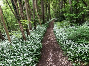 Excursión Senderismo Chaudfontaine - Beaufay-Embourg-Tilf 11km - Photo