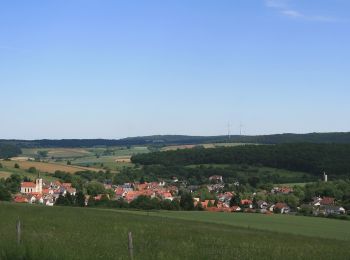 Excursión A pie Otzberg - Parkplatzrundwanderweg Bettelmannsbuche 6 : Tannenberg-Weg - Photo