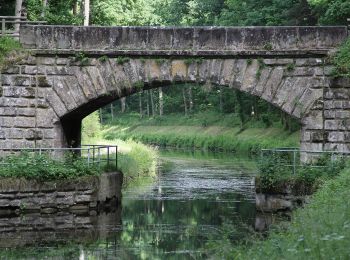 Percorso A piedi Forst Kleinschwarzenlohe - Historischer Lehrpfad - Photo