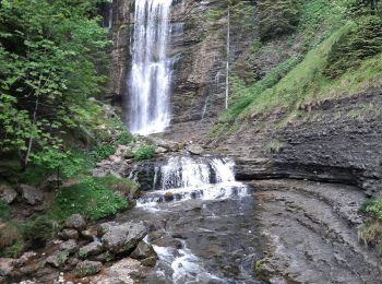 Excursión Senderismo Saint-Pierre-d'Entremont - saint meme - Photo