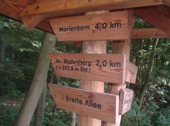 Trail On foot Sommersdorf - Lappwald Rundwanderweg 28 - Photo