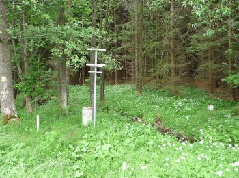 Tour Zu Fuß Bad Leonfelden - Grasslmühl-Runde - Photo