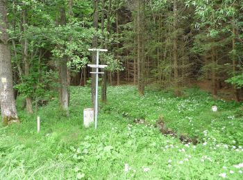 Trail On foot Bad Leonfelden - Grasslmühl-Runde - Photo