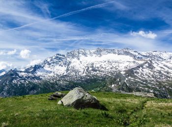 Randonnée A pied Ceresole Reale - IT-550 - Photo