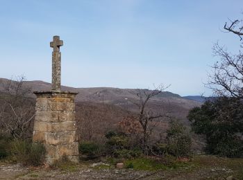 Randonnée Marche nordique Octon - Octon Dolmens de Toucou - Photo