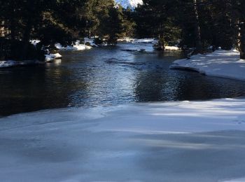 Randonnée Raquettes à neige La Llagonne - Le long du têt  - Photo