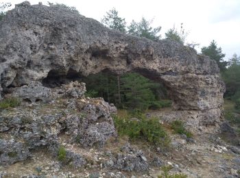 Tour Wandern Nant - Canalettes du Larzac - Sources du Dourzon - Photo