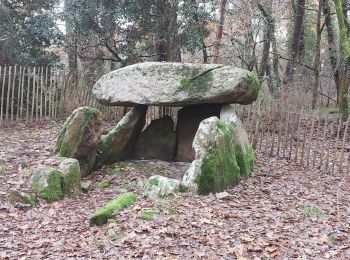 Excursión Senderismo Saint-Philibert - PR_56_St-Philibert_CA_03_Circuit1b_Landes-Et-Menhirs_20221227 - Photo