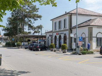 Trail On foot Murten - Murten/Station - Oberburg - Photo