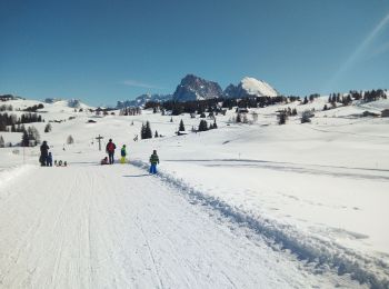 Percorso A piedi Chienes - Wanderroute 7 - Photo