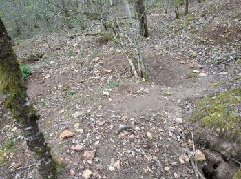 Excursión Bici de montaña Détain-et-Bruant - blockhaus de Saint-Jean de Boeuf - Photo