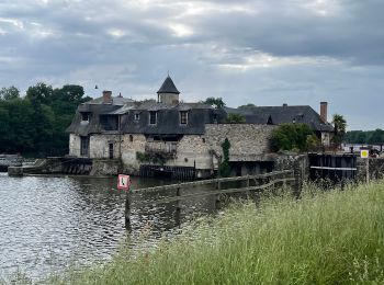 Excursión Senderismo Longuenée-en-Anjou - Pruillé - Photo