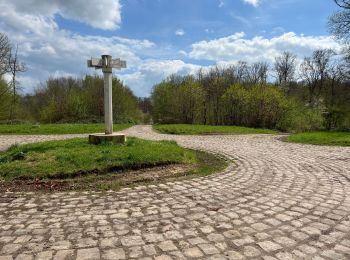 Tour Wandern Ormoy-le-Davien - Boucle départ Ormoy le Davien 60620 - Foret de Retz - Photo