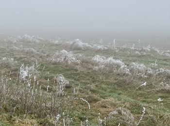 Trail Walking Fosses-la-Ville - Carrière aisemont  - Photo