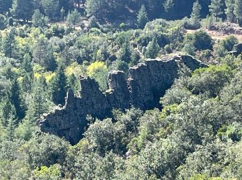 Tocht Stappen Lunas - Taillevent la vallée de l’Oeb - Photo