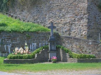 Tour Zu Fuß Hennef (Sieg) - Burgweg (Erlebnisweg Sieg Nr. 7) - Photo