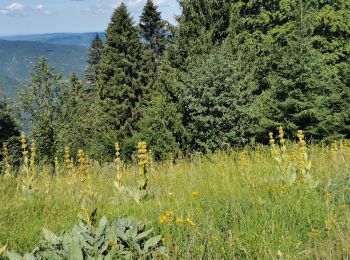 Tour Wandern Septmoncel les Molunes - 2020-07-12_16h26m37_6 PED - MONTS & COMTE Pré Fillet - Les Arobiers 18KM - Photo