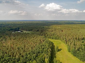 Percorso A piedi Laußnitz - Biberpfad - Photo