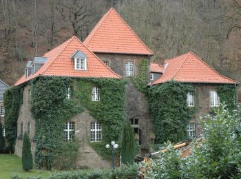 Tour Zu Fuß Unbekannt - Rundweg A3 (Baldeney) - Photo