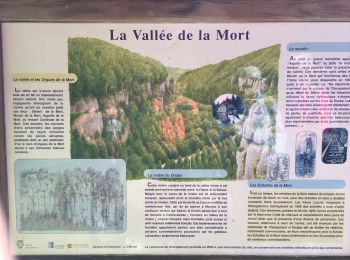 Tocht Stappen Charquemont - Échelles de la mort - Photo