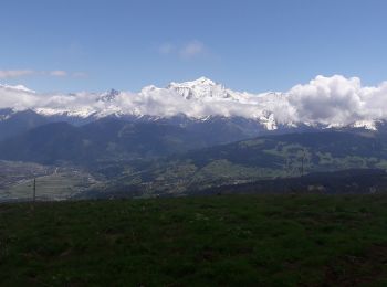 Tocht Stappen Cordon - le Pelay- la Tête Noire  - Photo