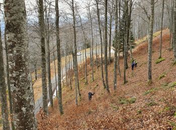 Tocht Stappen Sacoué - Le Tourroc depuis Sacoué 65 - Photo