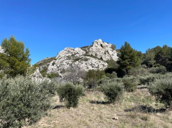 Tocht Stappen Aureille - PF-Aureille - La Vallongue d'Aureille - MDu - Photo