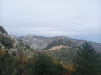 Randonnée Marche Gorbio - Circuit du Bausson 12.11.22 - Photo