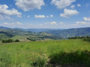 Tour Wandern Mariac - Vallée des Tuiliers 14km - Photo