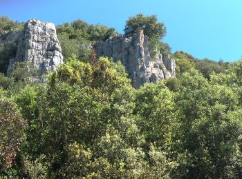 Tocht Stappen Seillons-Source-d'Argens - Seillons source d'Argens... rocher des abeilles... la bastidasse - Photo
