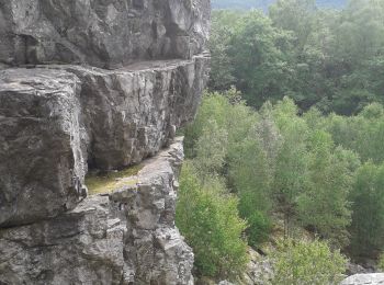 Tour Wandern Monthermé - roc la tour - Photo